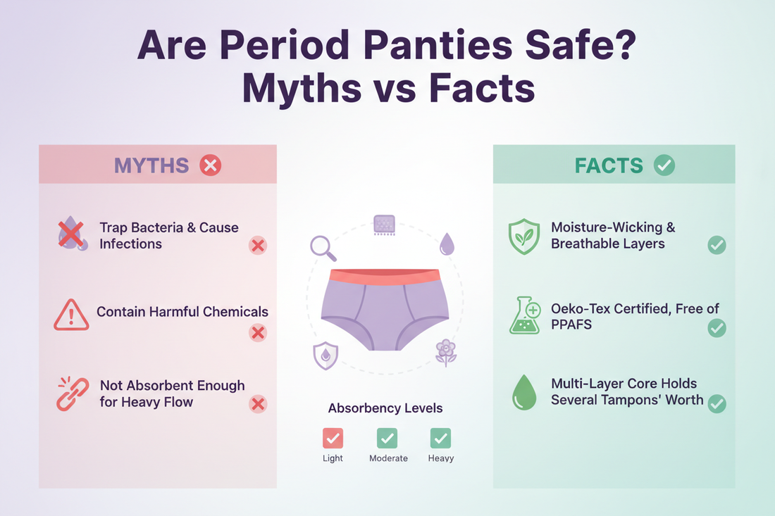 Are Period Panties Safe? Myths vs Facts - Dcareify